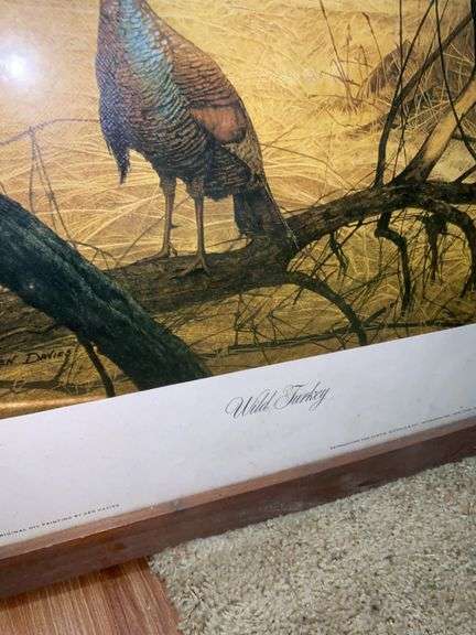 (2) Wild Turkey Framed Oil Paintings by Ken Davies