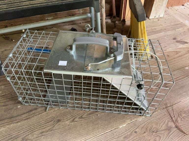 Step ladder, live animal trap, broom, and walking sticks