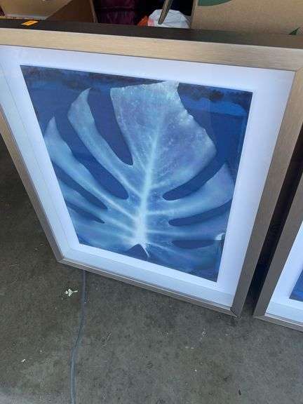 (2) Framed Prints from Unknown Artist