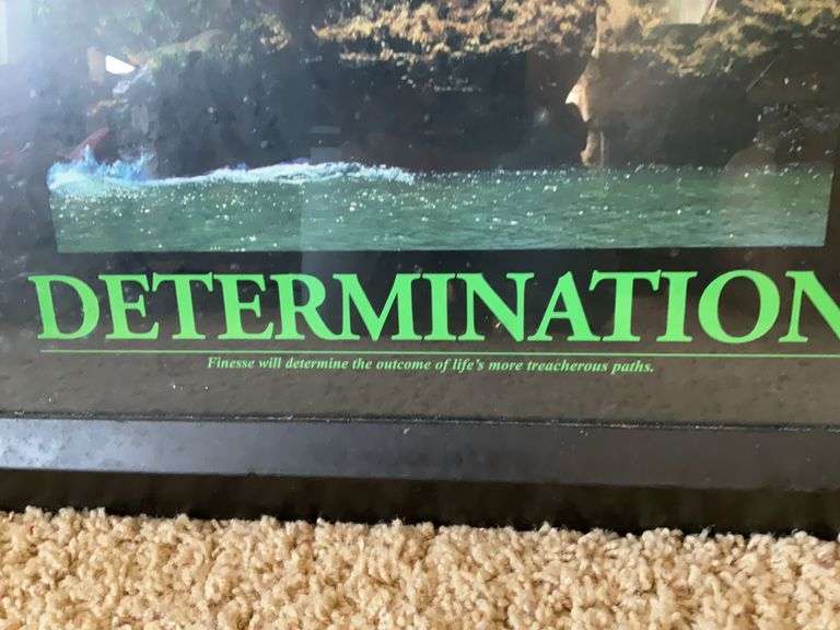 Framed Print “Determination “