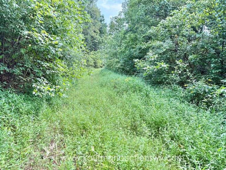 39+/- Acre Clay County Land