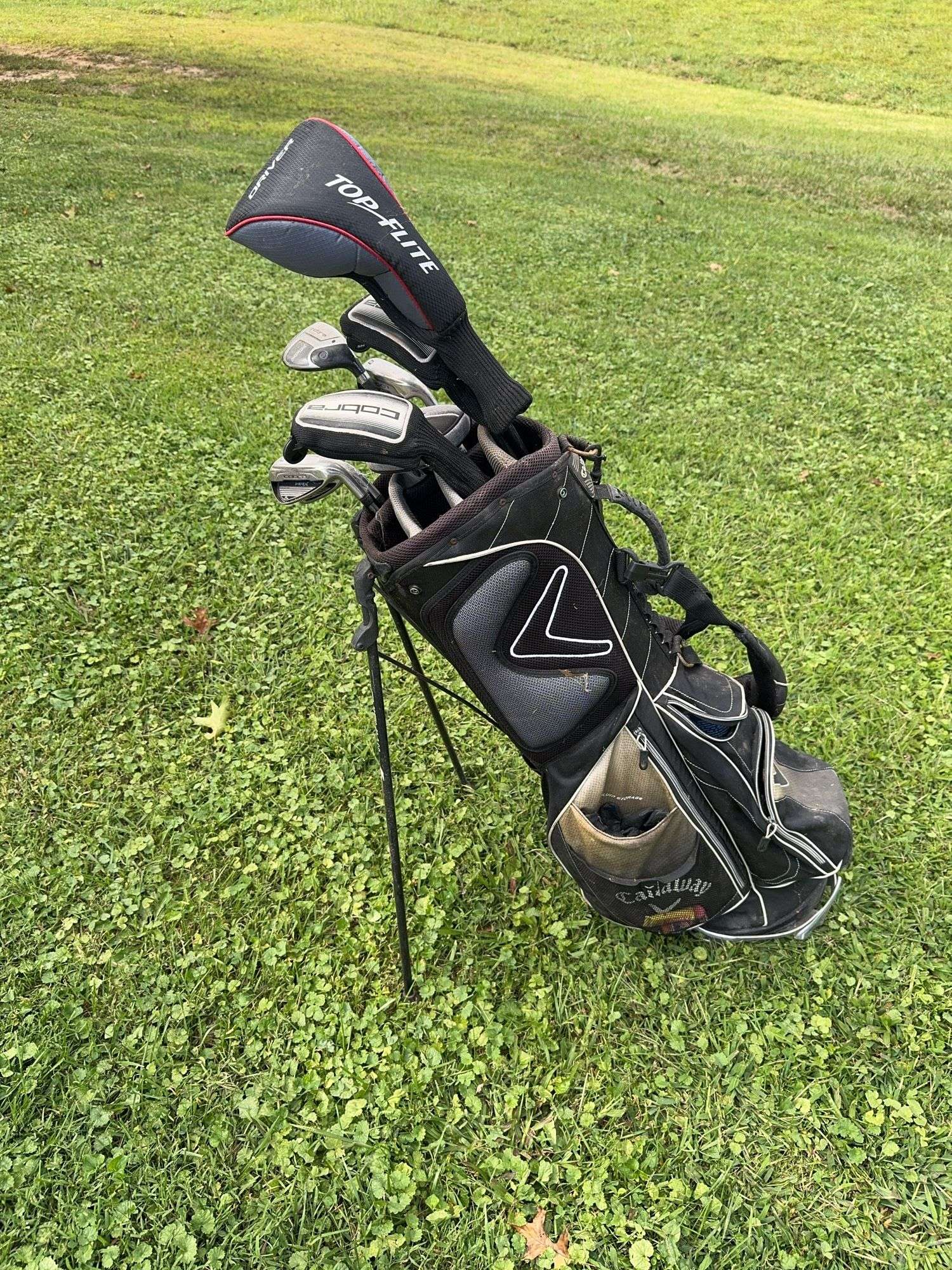 Cobra Golf Clubs w/ Callaway Bag and Top Flight Driver