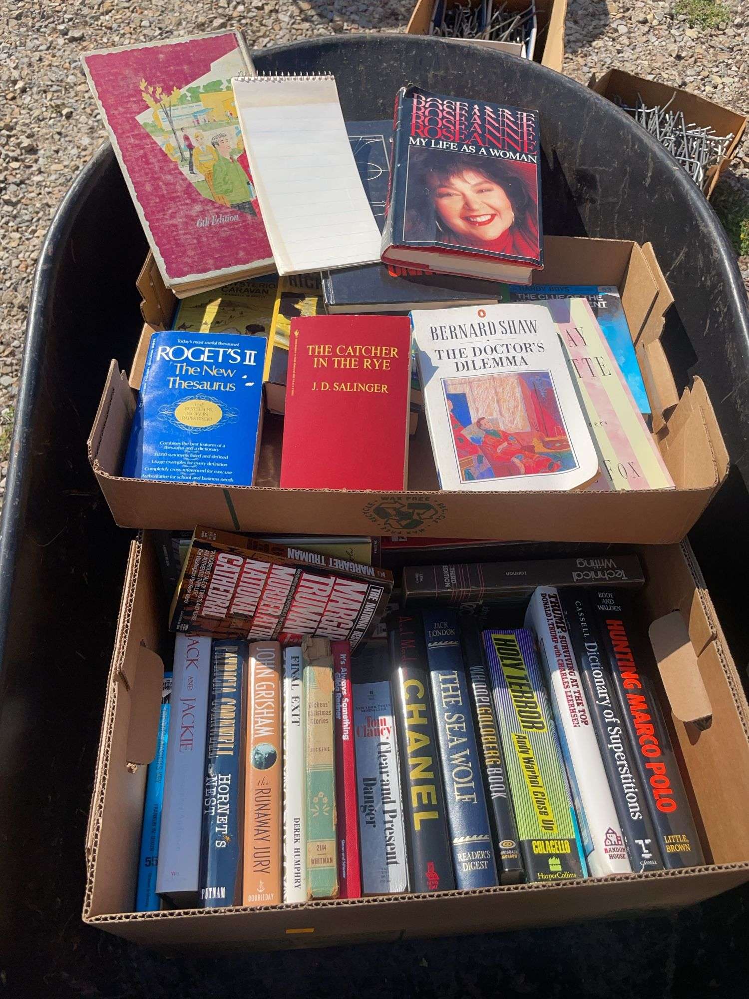 Box of books including The Hardy Boys, John Grisham, Technical writing and more