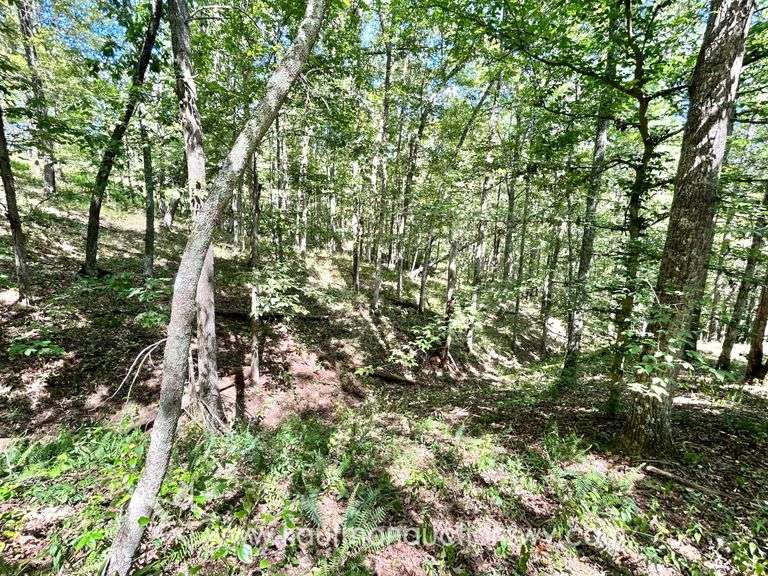 47+/- Acre Roane County Land