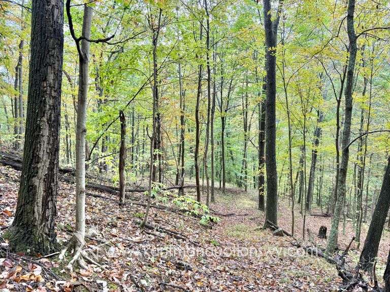 ****POSTPONED*** 51+/- Acre Calhoun County WV Land with Timber
