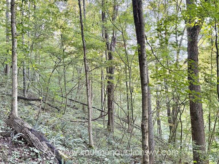 20+/- Acre Doddridge County WV Home & Land