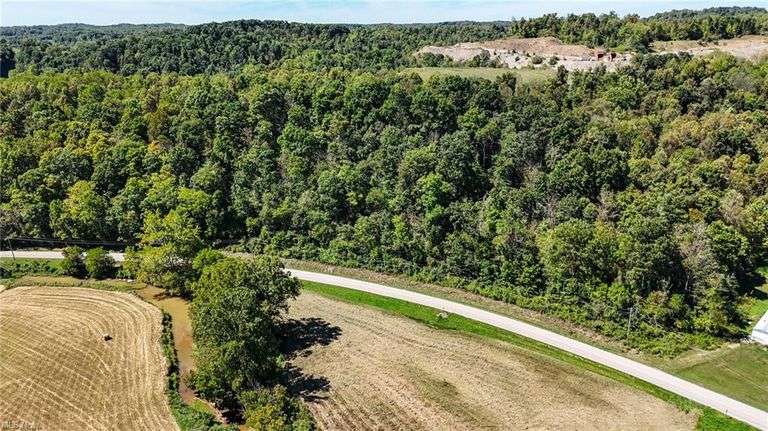 Parcel 3: 9.086 +/- acres of tillable land. Frontage on SR-145.