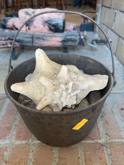 Cast Iron Pot Full of Seashells