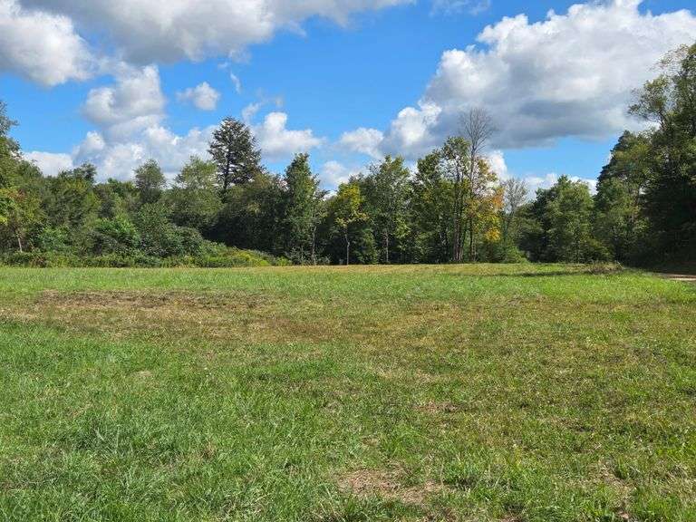 Live Only Real Estate - Sold $66,000
