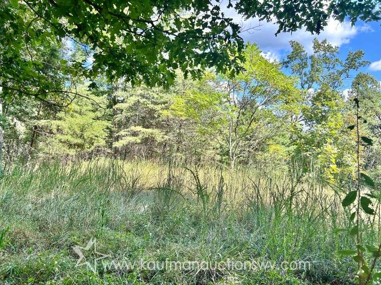 47+/- Acre Roane County WV Land 