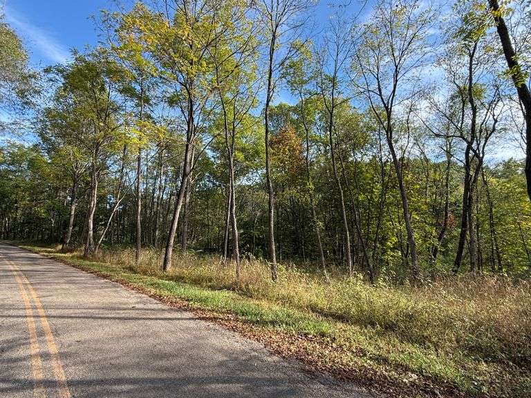 Harrison County 9.92 Acres Recreational Land