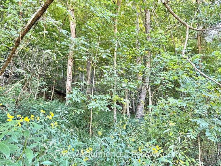 20+/- Acre Doddridge County WV Home & Land