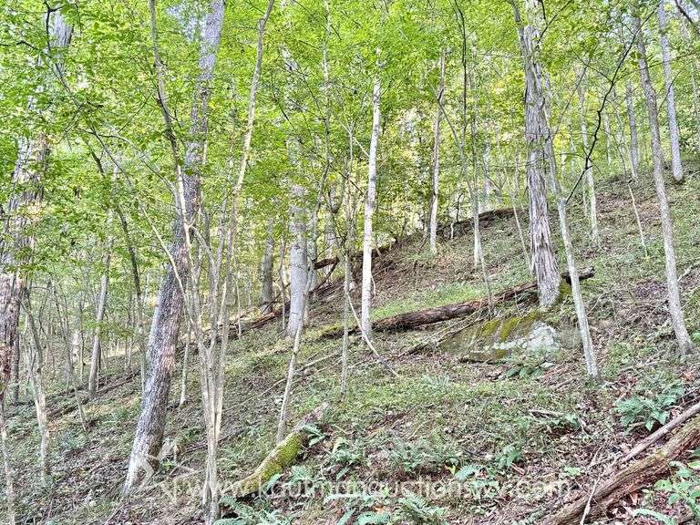 20+/- Acre Doddridge County WV Home & Land