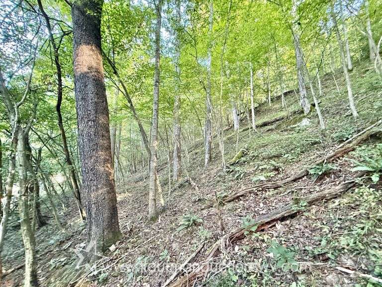 20+/- Acre Doddridge County WV Home & Land