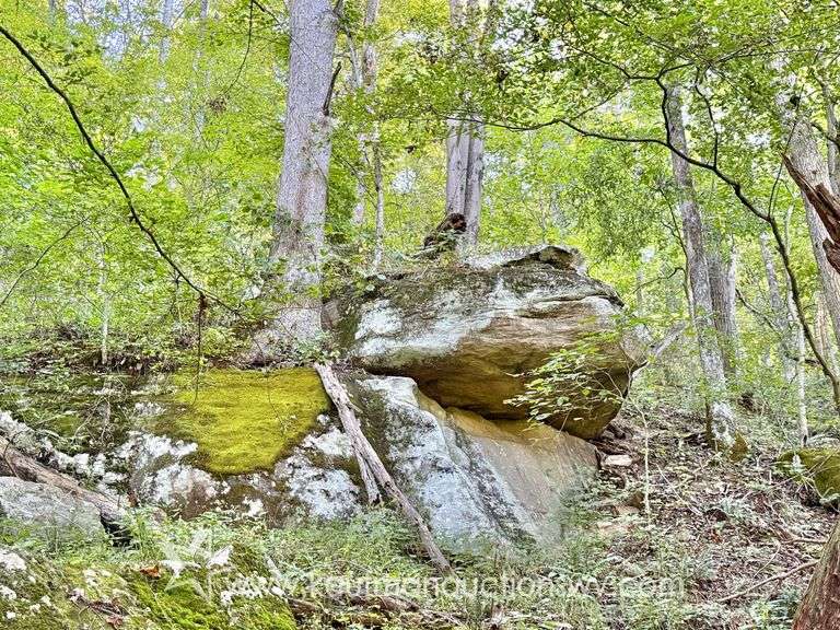 20+/- Acre Doddridge County WV Home & Land