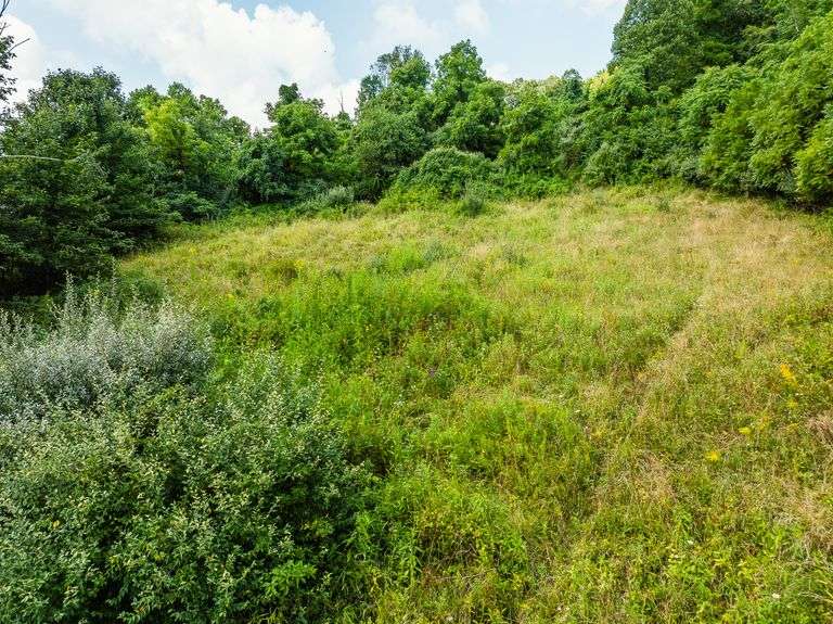 Lodge on 12 Acres with a Million Dollar View, Sold $533,500