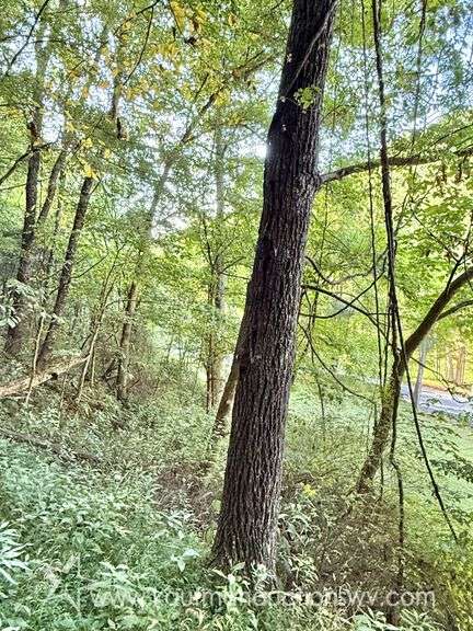 20+/- Acre Doddridge County WV Home & Land
