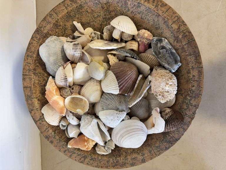 Decorative bowl with stand and shells