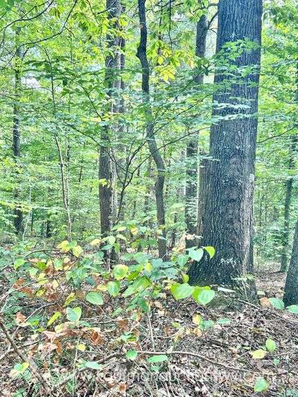 47+/- Acre Roane County Land