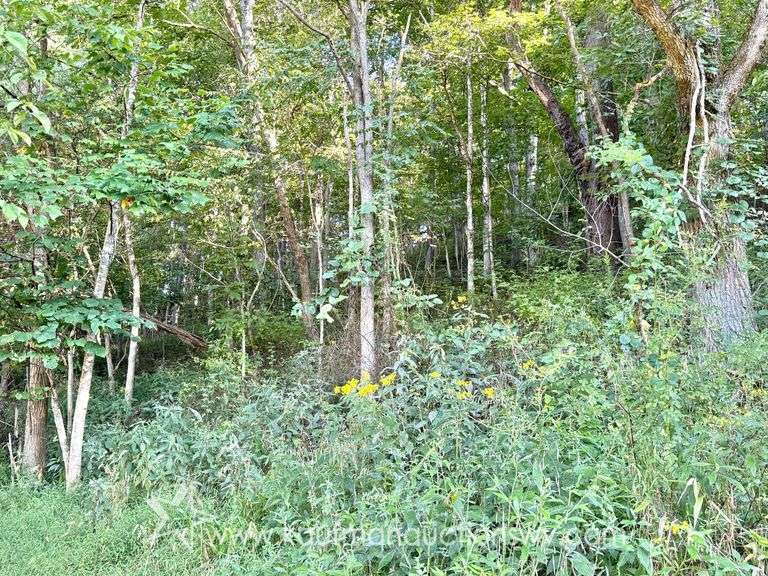 20+/- Acre Doddridge County WV Home & Land