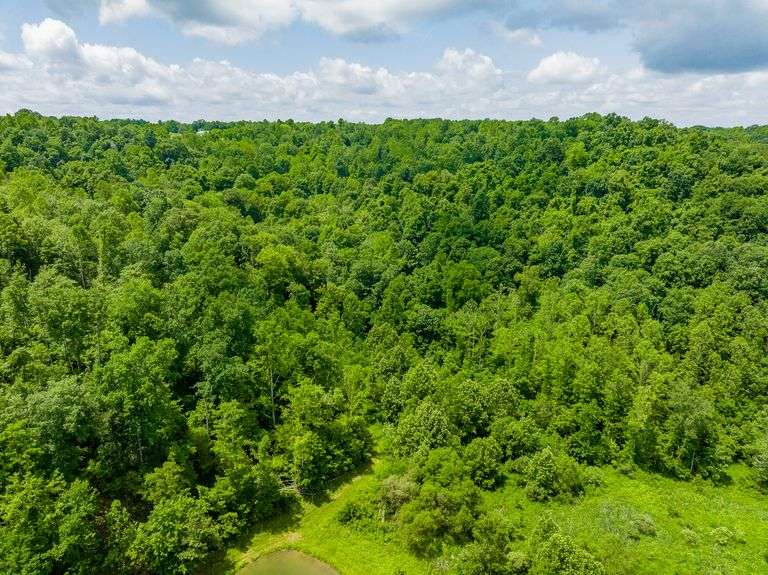 のの 値下げ】ハイミラーDX Ⅱ〔T/221002〕 New 2025 Exmark Lazer Z