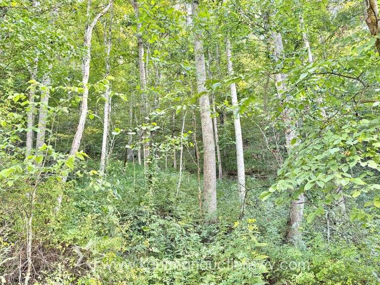 20+/- Acre Doddridge County WV Home & Land