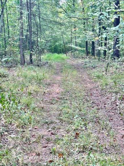 47+/- Acre Roane County Land