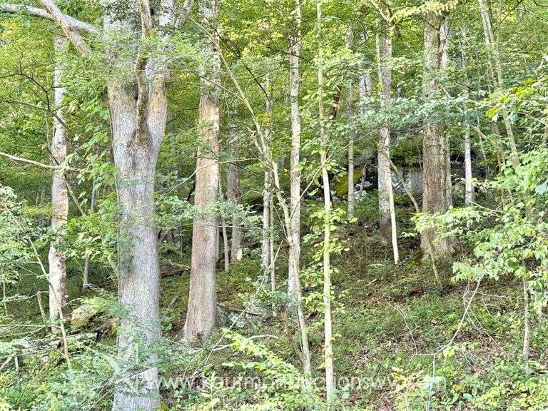 20+/- Acre Doddridge County WV Home & Land
