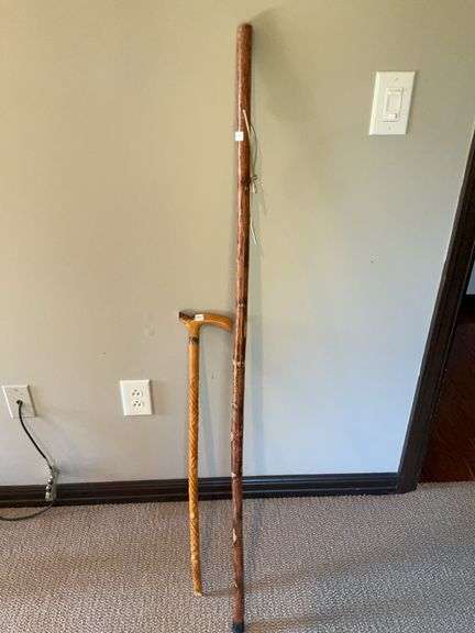 Cane and Walking Stick
