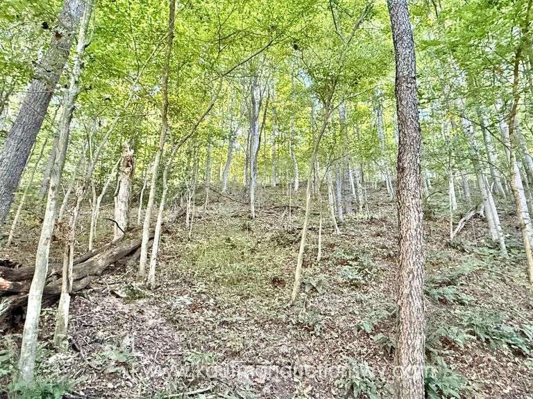 20+/- Acre Doddridge County WV Home & Land