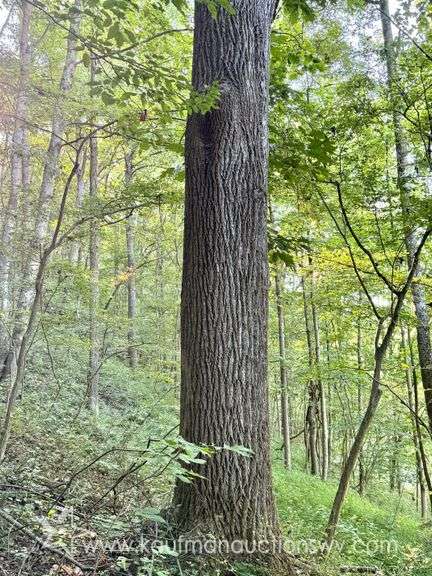 20+/- Acre Doddridge County WV Home & Land