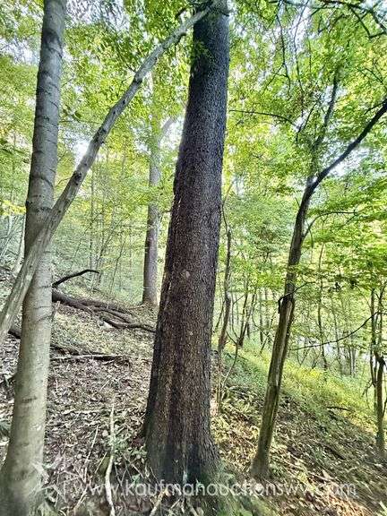 20+/- Acre Doddridge County WV Home & Land