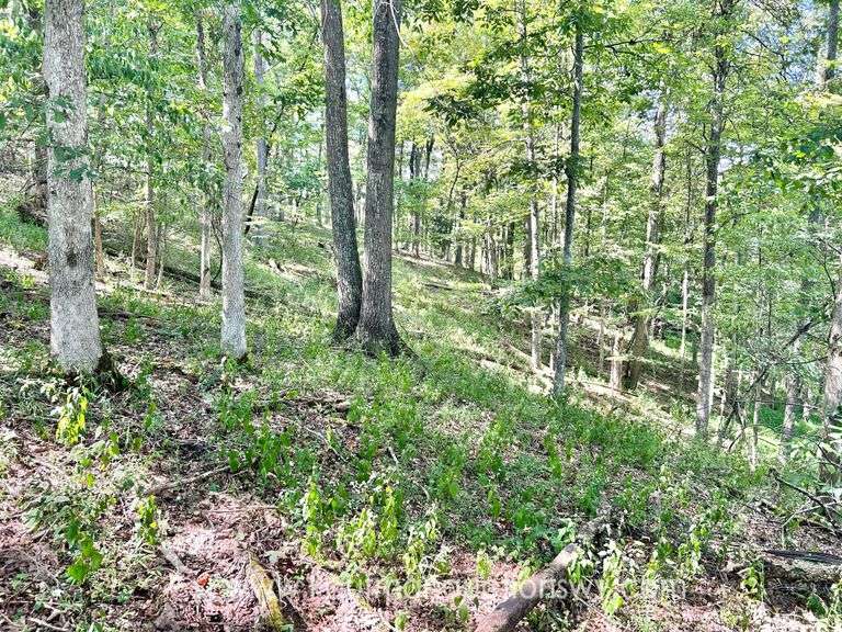 47+/- Acre Roane County Land