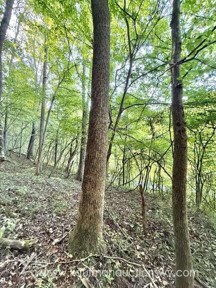 20+/- Acre Doddridge County WV Home & Land