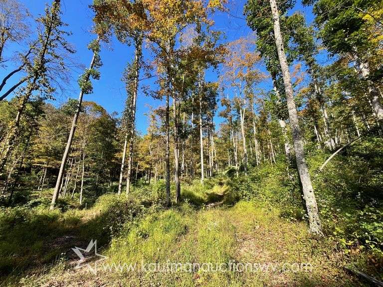 Taylor County, WV 47+/- Ac...