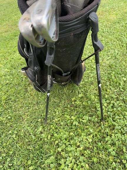 Cobra Golf Clubs w/ Callaway Bag and Top Flight Driver