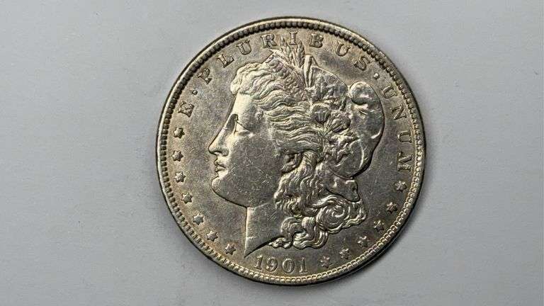 1901 Morgan Dollar