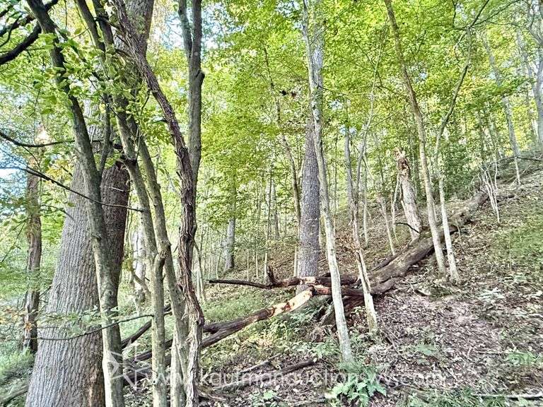 20+/- Acre Doddridge County WV Home & Land