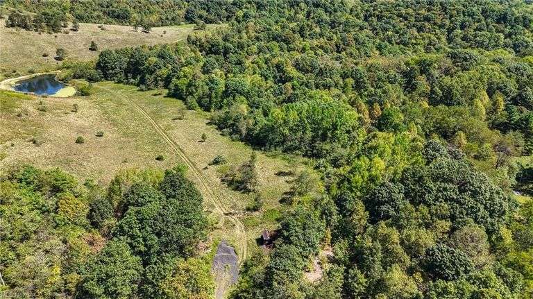 Absolute Noble County 42.965 Acres 