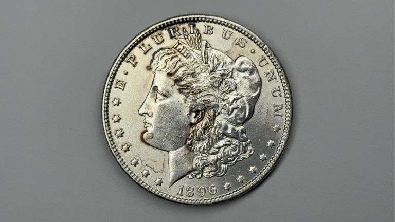 1896 Morgan Dollar