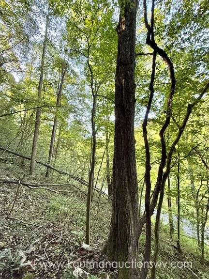20+/- Acre Doddridge County WV Home & Land
