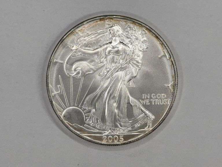 2005 American Silver Eagle