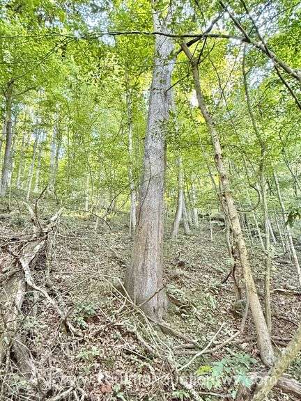 20+/- Acre Doddridge County WV Home & Land