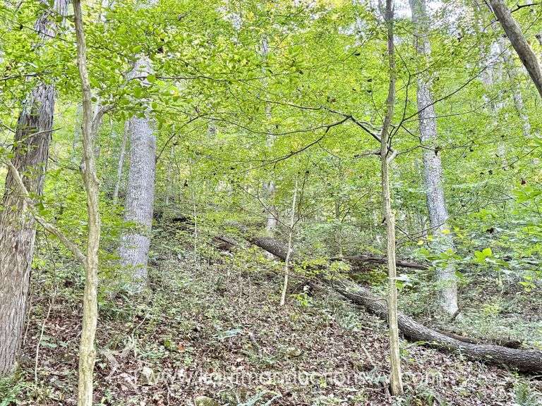 20+/- Acre Doddridge County WV Home & Land