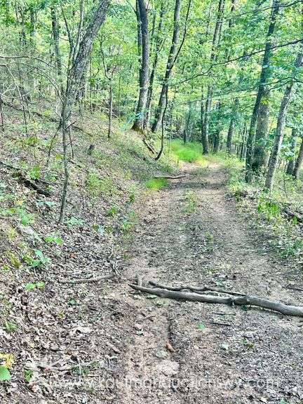 47+/- Acre Roane County Land