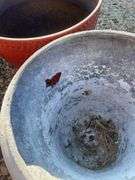 (6) planters - mostly plastic