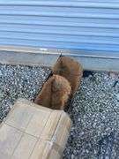 Assortment of Planters, sprayer, bird house, decorative stand and watering can