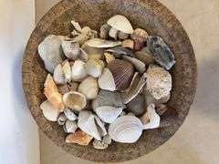 Decorative bowl with stand and shells