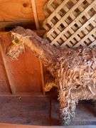 (3) Corn fodder decorative horses & decorative lattices