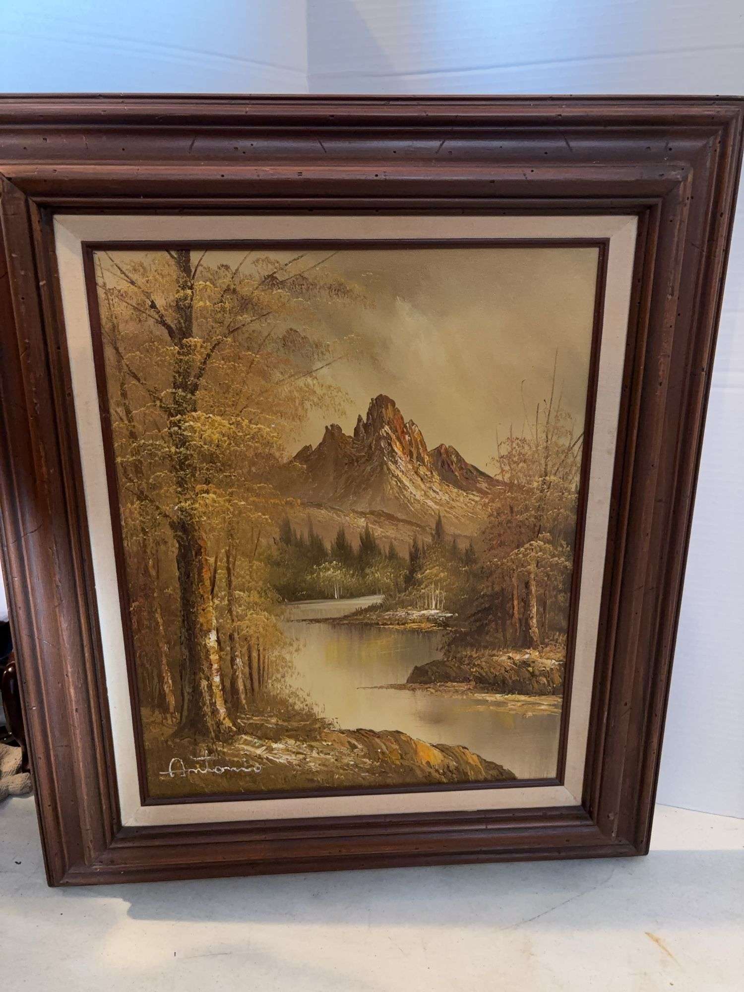 28” x 24” FRAMED SCENIC ART CANVAS